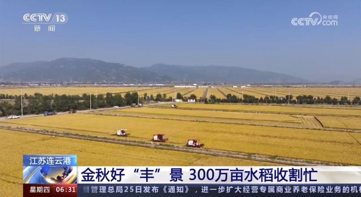 20231026 央视《朝闻天下》关注云台农场“三秋”丰收景象.jpg