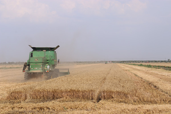 当前位置:>主页>工作动态>工作动态>云台农场工会>600_400